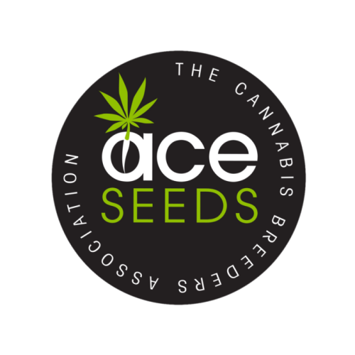 Epam Epam- Echinacea - tinktura - AllSeeds